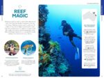 Lonely Planet Australia: Detailed Itineraries | Travel Like a Local | Insider Tips | Covers Sydney & New South Wales, Queensland, Melbourne & Victoria, the Red Centre and more (Travel Guide) - Image 6