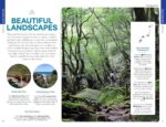 Lonely Planet Japan: Detailed Itineraries | Travel Like a Local | Insider Tips | Covers Tokyo, Mt Fuji & around Tokyo, the Japan Alps, Kyoto, Okinawa and more (Travel Guide) - Image 6