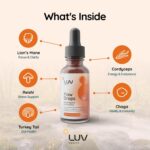 LUV health Flow Drops® – Energy Supplement for Focus, Mental Clarity & Immune Support - Adaptogenic Mushrooms with Lion’s Mane, Cordyceps, Reishi, Chaga & Turkey Tail – Vegan, Made in USA 4-Pack - Image 3