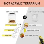 Reptileg Growth Tall Terrarium Set (PC), 8''*8''*11'' with Top Sliding Door Screen Ventilation Reptile Terrariums for Snake, Frog,Insect,Tarantula,Hermit Crab，Spider,Iguana,Tortoise,Bearded Dragon - Image 3