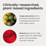 Humann SuperBeets Heart Chews, Nitric Oxide and Blood Pressure Support, Grape Seed Extract & Non-GMO Beet Root Powder Energy Supplement, Pomegranate Berry Flavor, 60 Count - Image 7