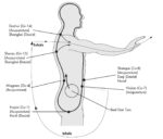 Tai Chi Ball Qigong: For Health and Martial Arts - Image 4