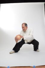 Tai Chi Ball Qigong: For Health and Martial Arts - Image 5
