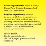 RESCUE Bach PASTILLES, Mixed Berry Flavor, Stress Relief Lozenges, Homeopathic, Flower Essences, 35 Count - Image 8