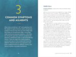 Chakra Healing: A Beginner's Guide to Self-Healing Techniques that Balance the Chakras - Image 6