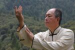 Tai Chi Chuan: Classical Yang Style - Image 3