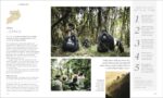 Where To Go When: Unforgettable Trips for Every Month (DK Eyewitness Travel Guide) - Image 4