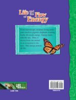 Life and the Flow of Energy - Image 3