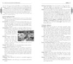 Rick Steves Amsterdam & the Netherlands (Rick Steves Travel Guide) - Image 7
