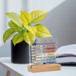 Christmas Thank You Gifts, Growth Mindset Table Desk Decors, Positive Affirmations Acrylic Sign, Inspirational Gifts for Women, Counseling Room Therapy Office Home Classroom Bedroom Decor - Image 4