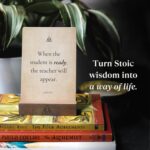 The Philosopher’s Deck - 52 Daily Stoic Motivational Cards with Display Stand and Journal Prompts Designed for Personal Growth, Gifts for Men and Women, Perfect Office Decor for Men - Image 8