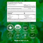 Brain Tea Focus & Memory - Brain Tea Organic Certified 4-in-1 Nootropic Herbal Supplement with Ginkgo Biloba, Gotu Kola, Lion’s Mane Mushroom, MCT Caffeine-Free for Mental Clarity (30 Sachets) - Image 8