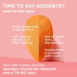 Real Techniques 5 Piece Everyday Essentials Makeup Brush Set, Includes 4 Brushes & Makeup Sponge, For Foundation, Blush, Bronzer, Contour, Eyeshadow, & Powder, Travel Gift Set, Cruelty-Free & Vegan - Image 4