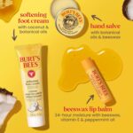 Burt's Bees Christmas Gifts - Essentials Everyday Set, 5 Travel Size Products for Stocking Stuffers - Deep Cleansing Cream, Hand Salve, Body Lotion, Foot Cream and Original Lip Balm - Image 7
