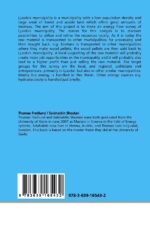 Energy Flow Survey of Ljusdals Municipality - Image 3