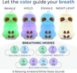 Mindsight 'Breathing Buddha' Guided Visual Meditation Tool for Mindfulness | Slow Your Breathing & Calm Your Mind for Stress & Anxiety Relief | Perfect for Adults & Kids (Multicolor, Sloth (Sound)) - Image 3