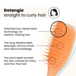 Tangle Teezer Ultimate Detangler Hairbrush, Eliminates Knots & Reduces Breakage, Mini Hair Brush for Travel, Small Hands & All Hair Types, Ice Blue & Sweet Orange - Image 3