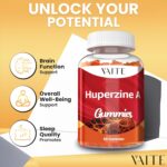 Huperzine A Supplement 200 mcg Gummies - Brain Supplements for Memory and Focus, Supports Cognitive Function & Mental Clarity - for Men, Women & Seniors - Non-GMO, Gluten-Free, 60 Vegan Chewables - Image 3