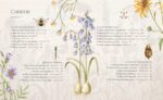 The Way of the Wildflower: Gospel Meditations to Unburden Your Anxious Soul – The Perfect Christian Devotional Christmas Gift for Women - Image 5