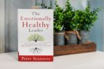 The Emotionally Healthy Leader: How Transforming Your Inner Life Will Deeply Transform Your Church, Team, and the World - Image 5