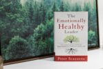 The Emotionally Healthy Leader: How Transforming Your Inner Life Will Deeply Transform Your Church, Team, and the World - Image 6