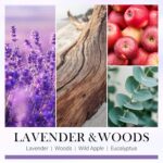 Travel Gifts for Women, Gifts for Travelers, Best Present for People Who Travel, Unique International Traveler Planner Vacation Retirement Present Candle for Women, Her, Couple, Friend - Image 4