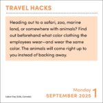 Travel Hacks 2025 Day-to-Day Calendar: Tips, Tricks, and Insider Insight to Make Your Trip a Lot More Awesome - Image 6
