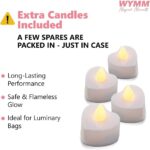 It Was Always You Light Up Letters with 30 Tea Lights Candles and 1000 Red & Pink Rose Petals - Luminary Bags Engagement Party Decorations & Anniversary Decorations Ideal Gift For Men & Women - Image 4
