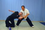 Taiji Martial Applications 37-Postures - Image 5