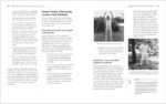 The Complete Idiot's Guide to T'ai Chi & QiGong Illustrated, Fourth Edition - Image 6