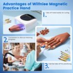 Magnetic Practice Hand for Acrylic Nails: Flexible Fake Nail Training Hand Practice - Manicure Hand Practice Kit for Beginners with 200PCS Nail Tips - Image 4
