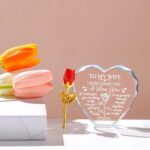 ZHSHWAT Christmas Day Birthday Gifts for Wife, Husband Crystal Multi Colour Night Light Gift for Wife, Romantic Crystal Rose Decor for Wife Anniversary Birthday Gifts Ideas - Image 8