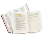 Better: A Study of Hebrews - Bible Study Book with Video Access - Image 7