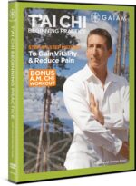 T'ai Chi Beginning Practice - Image 4