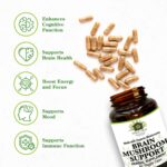 Brain Mushroom Support – Non-GMO & Kosher Certified Supplement with Potent Mushroom Blend for Enhanced Mental Clarity, Energy, Focus, Memory Function & Cognitive Health - Image 4