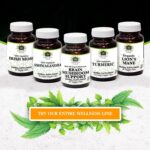 Brain Mushroom Support – Non-GMO & Kosher Certified Supplement with Potent Mushroom Blend for Enhanced Mental Clarity, Energy, Focus, Memory Function & Cognitive Health - Image 5