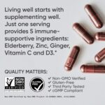 Sports Research® Daily Immune Support Elderberry with Zinc, Vitamin C, Ginger & Vitamin D3 5000iu - Gluten Free · Non-GMO Verified · Soy Free - 60 Veggie Capsules - Image 5