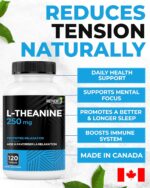 Renew Actives L-Theanine Supplements - Promotes Relaxation, Mental Clarity, & Focus - 250mg Per Serving - Non-GMO, Vegan, Gluten-Free - Made in Canada - 120 Easy-to-Swallow Capsules - Image 5