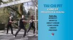 Tai Chi Fit for Cancer: Prevention and Recovery with David-Dorian Ross - Beginner Tai Chi DVD - Image 3