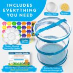 National Geographic Butterfly Growing Kit - Butterfly Habitat Kit with Voucher to Redeem 5 Caterpillars (S&H Not Included), Butterfly Cage, Feeder (Amazon Exclusive) - Image 5