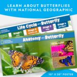 National Geographic Butterfly Growing Kit - Butterfly Habitat Kit with Voucher to Redeem 5 Caterpillars (S&H Not Included), Butterfly Cage, Feeder (Amazon Exclusive) - Image 6