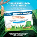 National Geographic Butterfly Growing Kit - Butterfly Habitat Kit with Voucher to Redeem 5 Caterpillars (S&H Not Included), Butterfly Cage, Feeder (Amazon Exclusive) - Image 7