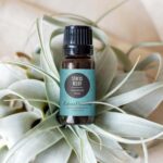 Edens Garden Stress Relief Essential Oil Blend- 100% Pure Premium Grade, Undiluted, Natural, Therapeutic, Aromatherapy, The Best for Diffusing, Skin, Candle, Humidifiers 10 ml (.33 fl oz) - Image 3