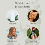 Edens Garden Stress Relief Essential Oil Blend- 100% Pure Premium Grade, Undiluted, Natural, Therapeutic, Aromatherapy, The Best for Diffusing, Skin, Candle, Humidifiers 10 ml (.33 fl oz) - Image 5