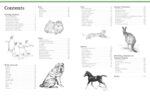 Big School of Drawing Animals: Well-explained, practice-oriented drawing instruction for the beginning artist - Image 3