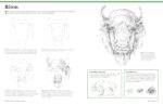 Big School of Drawing Animals: Well-explained, practice-oriented drawing instruction for the beginning artist - Image 4