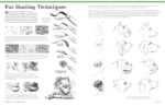 Big School of Drawing Animals: Well-explained, practice-oriented drawing instruction for the beginning artist - Image 5
