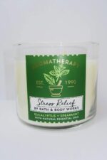 Bath & Body Works Aromatherapy Stress Relief, Eucalyptus + Spearmint Scented Candle - Image 3