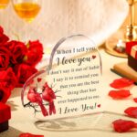 to My Love Christmas Acrylic Gifts for Her/Him Boyfriend Girlfriend Loves Ideas Anniversary Valentines Christmas Birthday Romantic Gift for Him Husband Wife Women Men(Bird) - Image 3