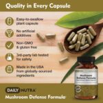DailyNutra Mushroom Defense Formula - Immune Support Supplement | Organic Mushrooms, Hot Water Extracted - Reishi, Chaga, Maitake, Shiitake & Turkey Tail (90 Capsules) - Image 5